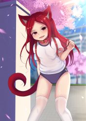 Rule 34 | 1girl, absurdres, animal ears, backpack, bag, blue buruma, blurry, blurry background, bow, building, buruma, cat, cat ears, cat girl, cat tail, cherry blossoms, collar, commission, crime prevention buzzer, day, fangs, gym shirt, gym uniform, highres, hotel01, long hair, looking at viewer, open mouth, original, outdoors, petals, randoseru, red eyes, red hair, shirt, short sleeves, solo, standing, tail, thighhighs, white thighhighs, wind