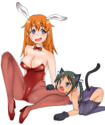 Rule 34 | 2girls, animal ears, animal hands, arm support, bad id, bad pixiv id, bare shoulders, black hair, blue eyes, blush, bow, bowtie, breasts, brown hair, cat ears, cat girl, cat tail, charlotte e. yeager, cleavage, fake animal ears, fang, female focus, francesca lucchini, gloves, kittysuit, kneeling, large breasts, leotard, long hair, multiple girls, nontraditional playboy bunny, open mouth, orange hair, pantyhose, paw gloves, playboy bunny, rabbit ears, rabbit girl, shoes, sitting, spread legs, strike witches, sweat, sweatdrop, tail, thighhighs, twintails, world witches series, yuki (wankosoba)