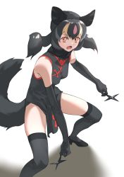 Rule 34 | 1girl, :o, absurdres, animal ears, aye-aye (kemono friends), bare shoulders, black dress, black footwear, black gloves, black hair, black thighhighs, breasts, china dress, chinese clothes, commentary, dress, elbow gloves, fighting stance, gloves, high heels, highres, kemono friends, legs apart, lemur ears, lemur tail, long hair, looking at viewer, multicolored hair, open mouth, orange eyes, shoes, shuriken, simple background, sleeveless, sleeveless dress, small breasts, solo, tail, tanabe (fueisei), thighhighs, twintails, weapon, white background, zettai ryouiki