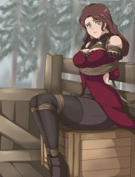 Rule 34 | 1girl, absurdres, bare shoulders, bdsm, bondage, bound, breasts, brown hair, cleavage, dorothea arnault, dress, earrings, fire emblem, fire emblem: three houses, green eyes, highres, intelligent systems, jewelry, large breasts, long hair, looking at viewer, nintendo, red dress, ryner-e, sitting, sleeveless, sleeveless dress, solo