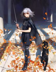 Rule 34 | 1girl, armlet, autumn leaves, black cape, black dress, black footwear, black pantyhose, brown eyes, cape, closed mouth, column, commentary, day, dog, dress, full body, highres, holding, holding sword, holding weapon, jewelry, long sword, looking at viewer, necklace, outdoors, pantyhose, pillar, serious, shadow, shoes, short hair, silver hair, soldier, solo, standing, sword, tassel, treeware, weapon