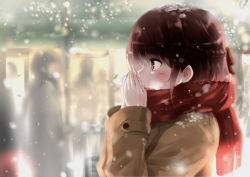 Rule 34 | 1girl, blurry, blush, braid, breath, breathing on hands, brown eyes, brown hair, coat, cold, depth of field, french braid, fuu (fuore), highres, long hair, looking to the side, original, outdoors, profile, red scarf, scarf, snow on body, snow on head, snowing, solo focus, upper body, winter clothes, winter coat