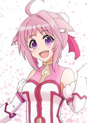 Rule 34 | 1girl, absurdres, ahoge, animal ear fluff, animal ears, artist request, bare shoulders, blush, breasts, bun cover, chinese clothes, detached sleeves, dog days, dog ears, elbow gloves, gloves, hair intakes, highres, looking at viewer, millhiore f. biscotti, open mouth, pink hair, purple eyes, short hair, small breasts, smile, white gloves