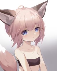Rule 34 | 1girl, absurdres, animal ears, arknights, bandeau, bare shoulders, blue eyes, blush, chinese commentary, commentary request, fox ears, fox tail, gradient background, grey background, grey hair, highres, looking at viewer, partial commentary, short hair, solo, strapless, sussurro (arknights), synring97, tail, tube top, upper body, white background