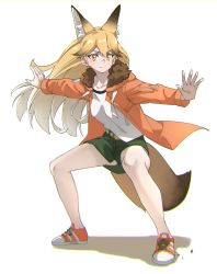 Rule 34 | 1girl, absurdres, alternate costume, animal ear fluff, animal ears, belt, blonde hair, commentary, extra ears, ezo red fox (kemono friends), fox ears, fox girl, fox tail, frown, full body, fur collar, gradient hair, green panties, green skirt, hair between eyes, highres, hood, hood down, hooded jacket, jacket, kemono friends, long hair, long sleeves, multicolored hair, open clothes, open jacket, orange jacket, outstretched arms, panties, pantyshot, shirt, simple background, skirt, solo, tail, tanabe (fueisei), underwear, white background, white hair, white shirt, yellow eyes
