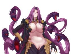 Rule 34 | 1girl, bar censor, breasts, censored, fate/grand order, fate (series), gorgon (fate), hand on own hip, highres, huge breasts, long hair, medusa (fate), medusa (rider) (fate), monster girl, navel, purple hair, pussy, red eyes, rider, scales, simple background, slit pupils, snake hair, solo, sweat, todding, very long hair, white background