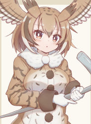 Rule 34 | 1girl, black hair, blush, breasts, brown background, brown eyes, brown hair, brown jacket, brown wings, commentary request, eurasian eagle owl (kemono friends), feathered wings, fur-trimmed jacket, fur trim, gloves, head wings, highres, holding, jacket, kemono friends, long sleeves, looking at viewer, medium breasts, multicolored hair, parted lips, solo, sunanuko (ramuneko), two-tone background, two-tone hair, upper body, white gloves, white hair, wings