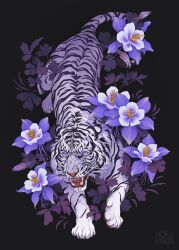 Rule 34 | animal, artist name, black background, flower, highres, looking at viewer, no humans, norapotwora, open mouth, original, purple eyes, purple flower, tiger, watermark, white tiger