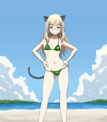 Rule 34 | 1girl, animal ears, beach, bikini, blonde hair, blush, breasts, cat ears, cat tail, collarbone, groin, hands on own hips, hiro yoshinaka, long hair, looking at viewer, navel, outdoors, perrine h. clostermann, shiny skin, sky, small breasts, solo, strike witches, striped bikini, striped clothes, swimsuit, tail, wavy mouth, world witches series, yellow eyes