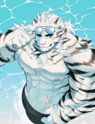 Rule 34 | 1boy, abs, absurdres, alternate costume, animal ears, arknights, artist request, bara, black male swimwear, blue eyes, bulge, eyewear on head, facial hair, from above, furry, furry male, goatee, hand under clothes, highres, large hands, large pectorals, looking at viewer, male focus, male swimwear, mountain (arknights), muscular, muscular male, nipples, pectorals, scar, scar across eye, scar on arm, short hair, smile, solo, stomach, sunglasses, thick eyebrows, tiger boy, tiger ears, tiger stripes, topless male, white fur, white hair