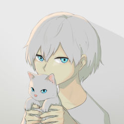 Rule 34 | 1other, androgynous, animal, avogado6, blue eyes, cat, colored skin, commentary, covering own mouth, holding, holding animal, holding cat, looking at viewer, original, portrait, shadow, shirt, short hair, simple background, solo, white background, white cat, white hair, white shirt, yellow skin