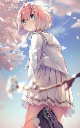 Rule 34 | 1girl, absurdres, ahoge, blue eyes, blue sky, blurry, blurry foreground, blush, branch, closed mouth, cloud, commentary request, day, depth of field, hair between eyes, highres, looking at viewer, looking back, original, outdoors, petals, pink hair, pleated skirt, purple footwear, revision, ribbed legwear, sailor collar, school uniform, serafuku, shirt, shoe soles, short hair, skirt, sky, smile, socks, solo, soranagi yuki, standing, standing on one leg, white sailor collar, white serafuku, white shirt, white skirt, white socks