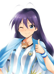 Rule 34 | 1girl, 2014 fifa world cup, ;), adidas, alternate hairstyle, antenna hair, argentina, argentinian flag, argentinian flag print, black hair, blue eyes, blush, color connection, crying, fang, fang out, flag, flag print, ganaha hibiki, hamster, hamuzou, hat, idolmaster, idolmaster (classic), jester cap, kaiga, long hair, looking at viewer, one eye closed, sad, shirt, simple background, smile, soccer, soccer uniform, solo, sportswear, striped clothes, striped shirt, tears, thumbs up, vertical-striped clothes, vertical-striped shirt, white background, world cup, wristband