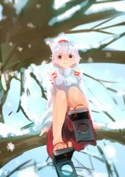 Rule 34 | 1girl, animal ears, from below, geta, hat, highres, in tree, inubashiri momiji, kaatoso, looking at viewer, md5 mismatch, no socks, pom pom (clothes), red eyes, resized, short hair, sitting, sitting in tree, skirt, smile, snow, snowflakes, solo, tengu-geta, toes, tokin hat, touhou, tree, turtleneck, white hair, wolf ears