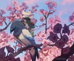 Rule 34 | animal, animal focus, artist name, backpack, bag, bird, blue eyes, blue sky, branch, cherry blossoms, cloak, closed eyes, commentary, day, flower, green cloak, highres, mouse (animal), murayama ryota, no humans, original, outdoors, perching, pink flower, riding, riding animal, riding bird, signature, sitting, sky, smelling flower, talons