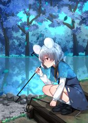 Rule 34 | 1girl, absurdres, animal ears, black footwear, blue capelet, blue theme, blue tree, capelet, closed mouth, crouching, dirt, dowsing rod, dress, floor, from side, frown, grass, grey dress, grey hair, hand up, highres, katsuobushi (eba games), knees, legs, loafers, long sleeves, looking to the side, medium dress, mouse ears, mouse tail, nazrin, nose, pond, red eyes, rock, scenery, shadow, shoes, short hair, socks, solo, squatting, tail, touhou, tree, water, white socks