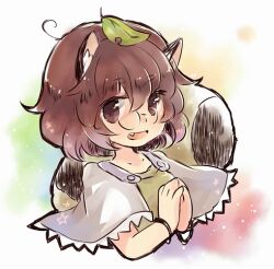 Rule 34 | 1girl, :d, animal ears, bracelet, brown eyes, brown hair, brown shirt, capelet, commentary request, fang, futatsuiwa mamizou, glasses, jewelry, leaf, leaf on head, looking at viewer, open mouth, pince-nez, raccoon ears, raccoon girl, raccoon tail, sen1986, shirt, short hair, smile, solo, tail, touhou, upper body
