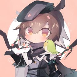 Rule 34 | 1girl, ahoge, animal, animal on shoulder, arknights, armband, beret, bird, bird girl, bird on shoulder, black gloves, black hat, black shirt, blush, branch, brown hair, cherry blossoms, chibi, cloak, commentary, gloves, hair between eyes, hat, infection monitor (arknights), multicolored hair, plume (arknights), sasa onigiri, scarf, shirt, short hair, solo, two-tone background, two-tone hair, upper body, white cloak, white hair