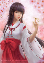 Rule 34 | 1girl, artist name, black hair, blunt bangs, brown eyes, bug, cherry blossoms, dragonfly, insect, japanese clothes, juvia ho, lips, long hair, looking at viewer, miko, original, smile, solo, very long hair, watermark, web address, wide sleeves