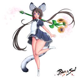 Rule 34 | 1girl, animal ears, apron, blade &amp; soul, blue dress, blue eyes, brown hair, copyright name, dress, flower, highres, kirei kotoba, leg lift, long hair, low twintails, lyn (blade &amp; soul), panties, ribbon, short dress, smile, socks, solo, staff, standing, standing on one leg, sunflower, tail, thighs, tiger ears, tiger tail, tiptoes, twintails, underwear, very long hair, white footwear, white panties, wind, wind lift