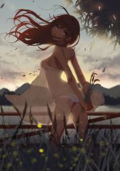 Rule 34 | 1girl, arms behind back, ass, back, backlighting, bad id, bad pixiv id, bikini, blue eyes, blurry, breasts, brown hair, cattail, chemise, depth of field, dusk, farm, fence, floating hair, flower, from behind, grin, holding, holding flower, lake, long hair, looking at viewer, looking back, mingou91, original, outdoors, panties, plant, see-through, sky, smile, solo, sunset, swimsuit, underwear, white bikini, white panties, wind