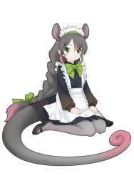 Rule 34 | 10s, 1girl, animal ear fluff, animal ears, apron, black footwear, bow, bowtie, braid, common ringtail possum (kemono friends), extra ears, frilled apron, frills, full body, gradient hair, green bow, green bowtie, green eyes, green ribbon, grey hair, grey pantyhose, hair ribbon, ise (0425), kemono friends, long hair, long sleeves, long tail, looking at viewer, maid, maid headdress, multicolored hair, pantyhose, pink hair, possum ears, possum tail, puffy sleeves, ribbon, shoes, simple background, sitting, smile, solo, tail, very long hair, white background
