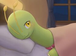 Rule 34 | :3, animal focus, artist name, blanket, blush, closed mouth, creatures (company), curtains, game freak, gen 2 pokemon, half-closed eyes, happy, highres, indoors, light blush, looking at viewer, lying, meganium, night, nintendo, no humans, on side, pillow, pokemon, pokemon (creature), portrait, reka (reka730), signature, smile, solo, under covers, window, yellow eyes