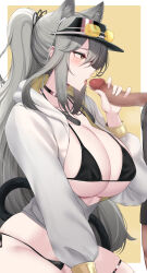 Rule 34 | 1boy, 1girl, absurdres, alternate costume, animal ears, arknights, bikini, black bikini, breasts, censored, choker, cleavage, collarbone, commentary, covered erect nipples, ear piercing, earbuds, earphones, earpiece, english commentary, extra ears, eyewear on headwear, fellatio, grey hair, hat, hetero, highres, hood, hoodie, kanta (kanta 077), large breasts, mosaic censoring, open clothes, open hoodie, open mouth, oral, penis, piercing, ponytail, schwarz (arknights), solo focus, sunglasses, swimsuit, swimsuit under clothes, tail, yellow background, yellow eyes