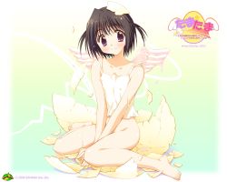 Rule 34 | 00s, 1girl, 2006, bare arms, barefoot, between legs, black hair, blush, bottomless, camisole, collarbone, copyright name, egg, eggshell, feathered wings, feet, full body, gradient background, hand between legs, hatching, kadoi aya, liquid, logo, looking at viewer, purple eyes, short hair, sitting, smile, solo, tamatama, tareme, twintails, two side up, v arms, wakui saki, wallpaper, wariza, watermark, web address, white wings, wings