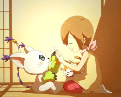 Rule 34 | absurdres, cat, digimon, gloves, highres, holy ring, scarf, smile, tail, tailmon, yagami hikari