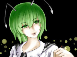 Rule 34 | 1girl, antennae, black background, bug, cape, fireflies, firefly, green eyes, green hair, hand up, head tilt, highres, insect, kazu (rakugakino-to), looking at viewer, matching hair/eyes, parted lips, short hair, simple background, solo, touhou, upper body, wriggle nightbug