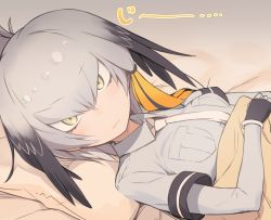 Rule 34 | &gt;:(, 10s, 1girl, blanket, bodystocking, collar, collared shirt, eyelashes, fingerless gloves, frown, gloves, grey hair, hair between eyes, head wings, highres, indoors, kemono friends, looking at viewer, lying, multicolored hair, necktie, pillow, pocket, ponytail, sanpaku, shirt, shoebill (kemono friends), short sleeves, side ponytail, solo, staring, tam-u, tsurime, v-shaped eyebrows, wings, yellow eyes