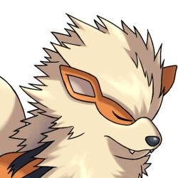 Rule 34 | animal focus, arcanine, asatsuki (fgfff), closed eyes, closed mouth, commentary request, creatures (company), fangs, fangs out, game freak, gen 1 pokemon, lowres, nintendo, no humans, pokemon, pokemon (creature), simple background, solo, upper body, white background, yellow fur