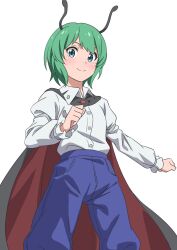 Rule 34 | 1girl, antennae, black cape, blue pants, buttons, cape, closed mouth, collared shirt, feet out of frame, green eyes, green hair, gyouza (mhea5724), highres, long sleeves, looking at viewer, pants, red cape, shirt, short hair, simple background, smile, solo, touhou, white background, white shirt, wriggle nightbug