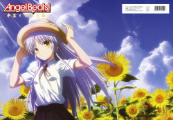 Rule 34 | 10s, 1girl, absurdres, angel beats!, cloud, day, female focus, flower, hat, highres, long hair, nature, non-web source, outdoors, shirt, silver hair, sky, solo, sunflower, tenshi (angel beats!), very long hair, yellow eyes