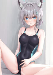 Rule 34 | 1girl, absurdres, animal ears, blue archive, blue eyes, ca paria, grey hair, highres, looking at viewer, shiroko (blue archive), short hair, solo, swimsuit