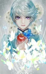 Rule 34 | 10s, 1boy, apple, bad id, bad twitter id, bishounen, bug, butterfly, food, frown, fruit, insect, male focus, mikleo (tales), p-nekor, purple eyes, solo, tales of (series), tales of zestiria