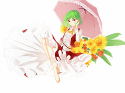 Rule 34 | 1girl, ascot, bare legs, barefoot, belt, breasts, collared shirt, fingernails, floating, flower, flowing dress (dq), full body, ginryuu, green hair, hand in own hair, highres, kazami yuuka, legs together, light smile, long sleeves, looking at viewer, medium breasts, parasol, plaid, plaid skirt, plaid vest, rose, shirt, short hair, simple background, skirt, solo, toenails, touhou, umbrella, vest, white background