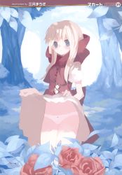Rule 34 | 1girl, absurdres, blonde hair, blue eyes, dress, grimm&#039;s fairy tales, highres, little red riding hood, little red riding hood (grimm), mitsuki mouse, panties, solo, underwear, white panties