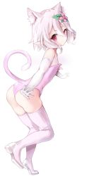 Rule 34 | 1girl, animal ears, cat ears, cat girl, cat tail, elf, kokkoro (princess connect!), natsushima memo, pointy ears, princess connect!, red eyes, tail, white legwear