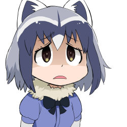 Rule 34 | 10s, 1girl, animal ears, aono3, black bow, black eyes, black hair, bow, bowtie, chibi, common raccoon (kemono friends), d:, grey hair, hair between eyes, highres, kemono friends, looking up, medium hair, multicolored hair, open mouth, puffy short sleeves, puffy sleeves, raccoon ears, shaded face, short sleeves, solo, striped tail, sweater, tail, upper body, white hair, worried