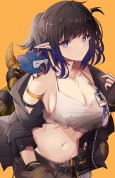 Rule 34 | 1girl, animal, animal on shoulder, arknights, beak, bird, bird on shoulder, black gloves, black jacket, blue bird, blue eyes, blue hair, breasts, brown hair, brown shorts, cleavage, commentary, crop top, ear piercing, eunectes (arknights), eunectes (forgemaster) (arknights), fingerless gloves, gloves, groin, hand in pocket, high priest (arknights), highres, id card, jacket, lanyard, large breasts, looking at viewer, midriff, navel, official alternate costume, open clothes, open jacket, piercing, pointy ears, ponytail, rhodes island logo (arknights), shirt, short hair, shorts, side ponytail, simple background, snake tail, stratoz, tail, torn clothes, torn shirt, white shirt, yellow background