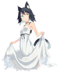 Rule 34 | 1girl, animal ears, bad id, bad pixiv id, black hair, cat ears, cat tail, clothes lift, collar, dress, dress lift, green eyes, kimura (ykimu), multicolored hair, original, short hair, simple background, solo, standing, sundress, tail, two-tone hair, water