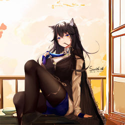 Rule 34 | 1girl, animal ear fluff, animal ears, arknights, artist name, black cape, black hair, black pantyhose, black vest, blue gloves, blue necktie, blue shorts, cape, collared shirt, dated, feet out of frame, fingerless gloves, food, food in mouth, gloves, highres, long hair, loriva, necktie, orange eyes, pantyhose, pocky, pocky in mouth, shirt, shorts, smile, solo, sunset, texas (arknights), texas the omertosa (arknights), vest, white shirt, wolf ears