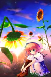 Rule 34 | 1girl, absurdres, blue eyes, boots, flower, hat, highres, himezono risa, hugging own legs, knees to chest, legs together, mitha, night, night sky, pink hair, school uniform, sitting, sky, sunflower, thighhighs, white thighhighs, yuyukana