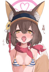 Rule 34 | 1girl, absurdres, animal ear fluff, animal ears, bikini, blue archive, blue bikini, blush, breasts, brown hair, commentary request, eyeliner, fellatio gesture, flower, fox ears, fox girl, fox tail, hair between eyes, hair flower, hair ornament, halo, highres, izuna (blue archive), izuna (swimsuit) (blue archive), looking at viewer, makeup, nyashiro (sgylk), official alternate costume, open mouth, pink halo, red eyeliner, red scarf, scarf, sharp teeth, short hair, simple background, small breasts, solo, straight-on, striped bikini, striped clothes, sunflower, sweat, swimsuit, tail, teeth, tongue, translation request, upper body, white background, yellow eyes