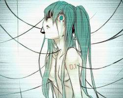 Rule 34 | 1girl, breasts, female focus, green hair, hatsune miku, nude, solo, tagme, upper body, vocaloid