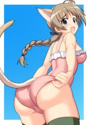 Rule 34 | 1girl, adjusting clothes, adjusting swimsuit, ahoge, animal ears, ass, blue background, blush, braid, braided ponytail, breasts, cat ears, cowboy shot, from behind, from side, guchiaki, large breasts, looking at viewer, lynette bishop, one-piece swimsuit, outside border, pink one-piece swimsuit, single braid, skindentation, solo, strike witches, swimsuit, thighhighs, white background, world witches series