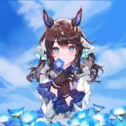 Rule 34 | 1girl, animal ears, black gloves, blue eyes, blue sky, blush, breasts, closed mouth, cloud, collared shirt, commentary request, daring tact (umamusume), flower, gassan aya, gloves, hair between eyes, hair ornament, highres, horse ears, horse girl, jacket, long sleeves, looking at viewer, medium breasts, medium hair, multicolored hair, outdoors, portrait, shirt, sky, smile, solo, star (symbol), star hair ornament, streaked hair, umamusume, white hair, white jacket, wide sleeves