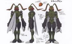 Rule 34 | 00s, 1boy, antennae, armor, arthropod boy, beetle, bug, character sheet, claws, digimon, digimon (creature), digimon adventure 02, highres, insect, insect wings, multiple views, muscular, official art, pectorals, scan, simple background, solo, spikes, stingmon, translation request, wings